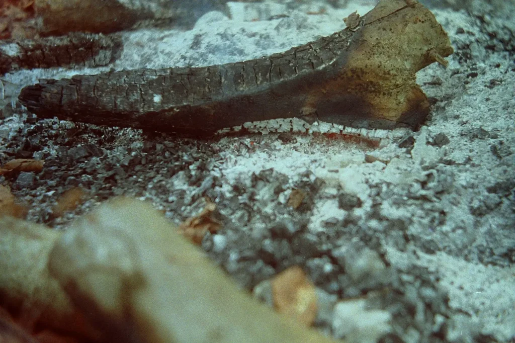 close up of burning log