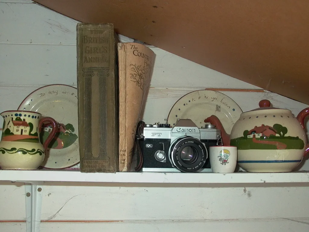 photograph of camera among shelf of ornaments
