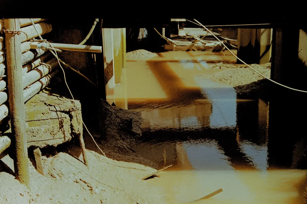 photograph underneath a marina jetty