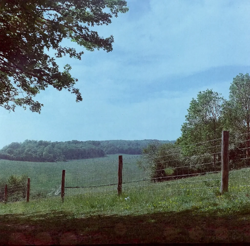 photograph of countryside with fence