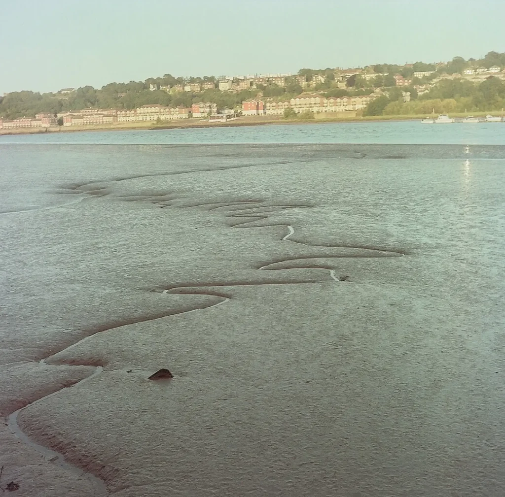 photo of a river with pattern in the mud