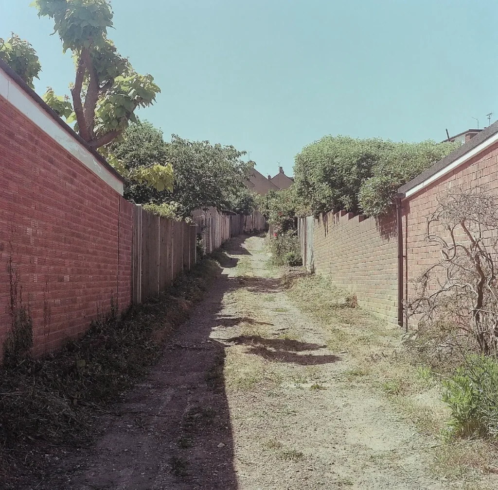 alley behind some houses