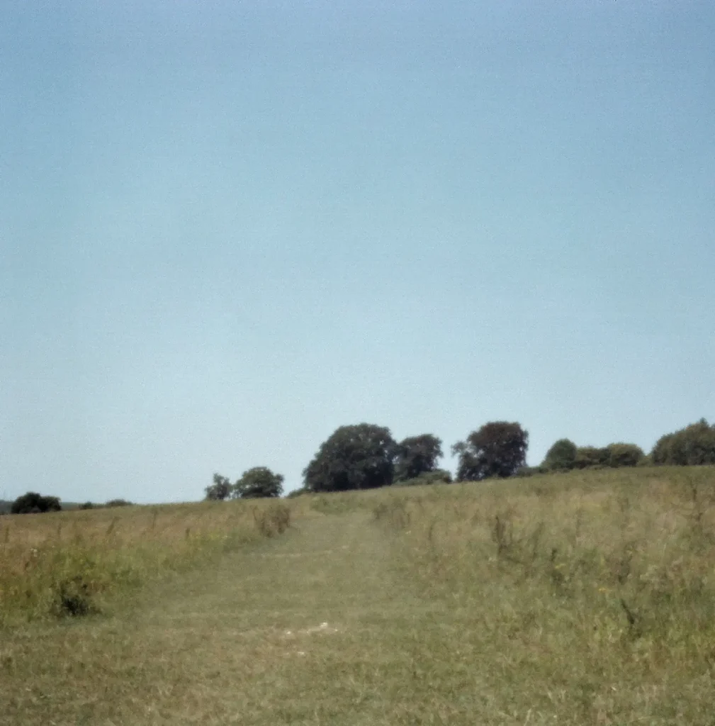 pinhole camera photo of countryside