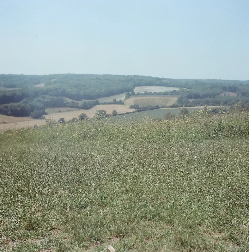 photo of countryside scenery