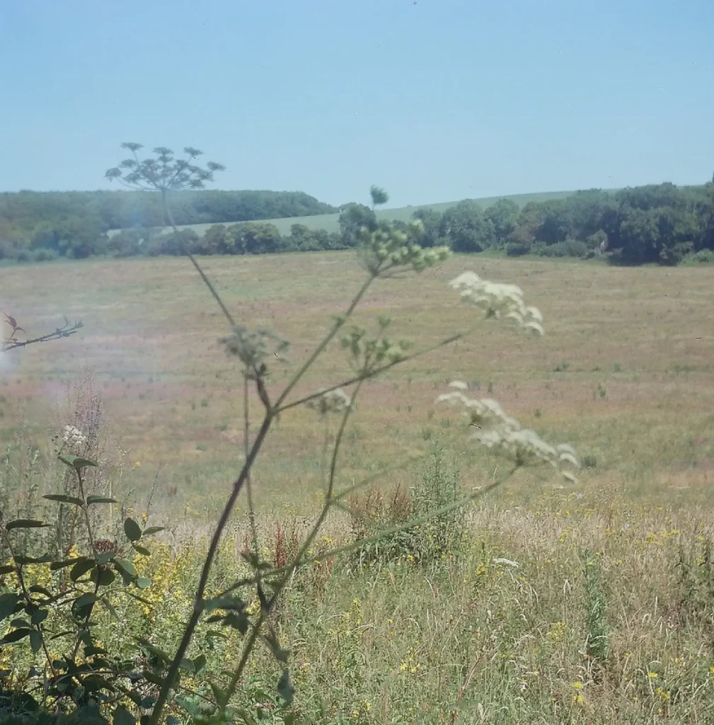 photo of countryside scenery