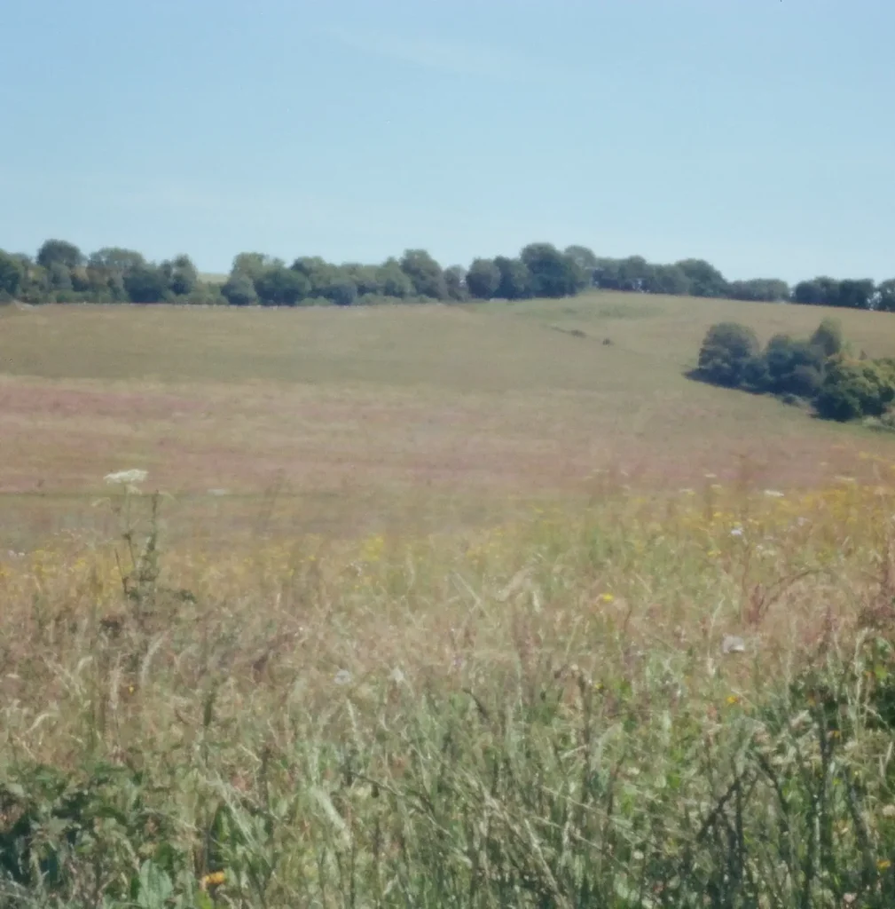 photo of countryside scenery