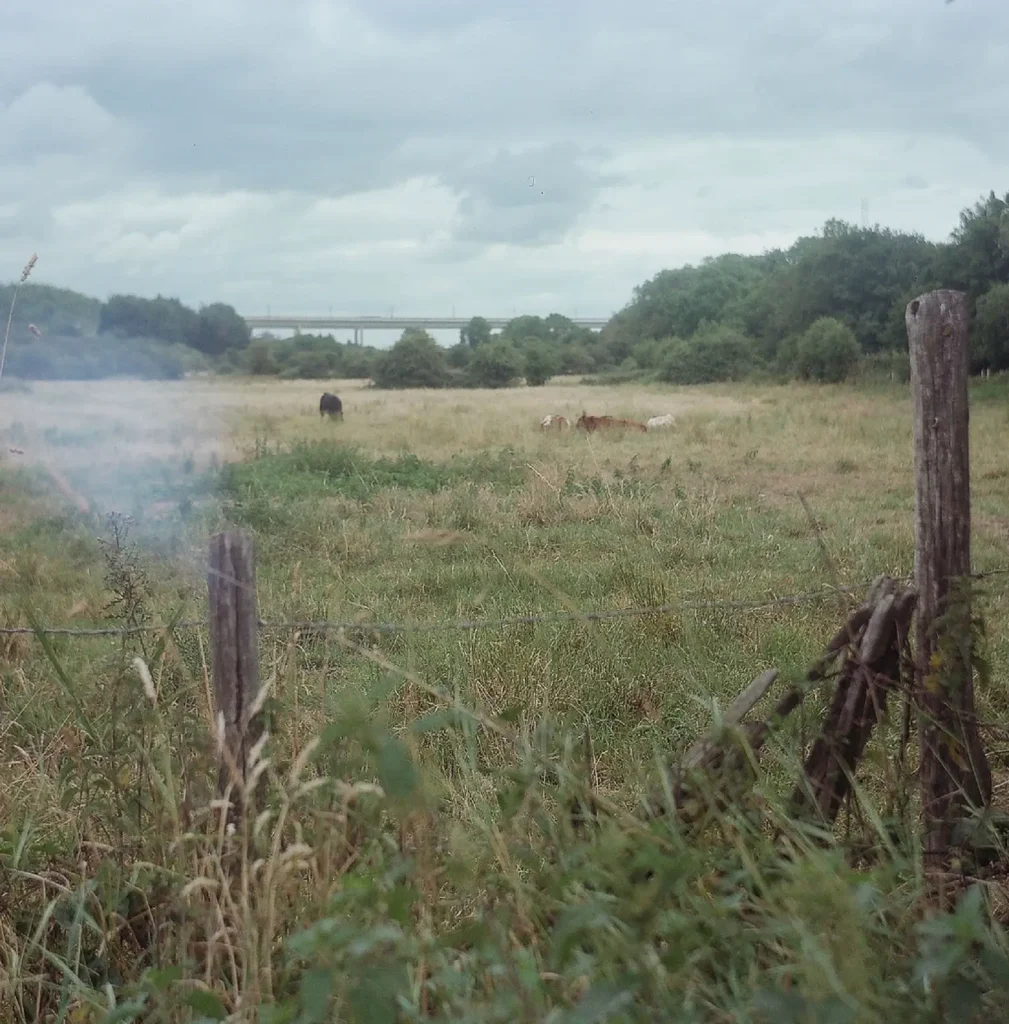 photo of field with bridge in the distance