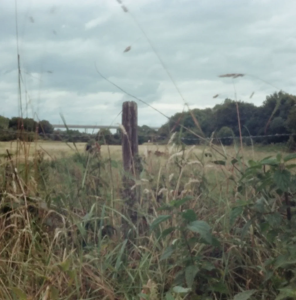 countryside scene