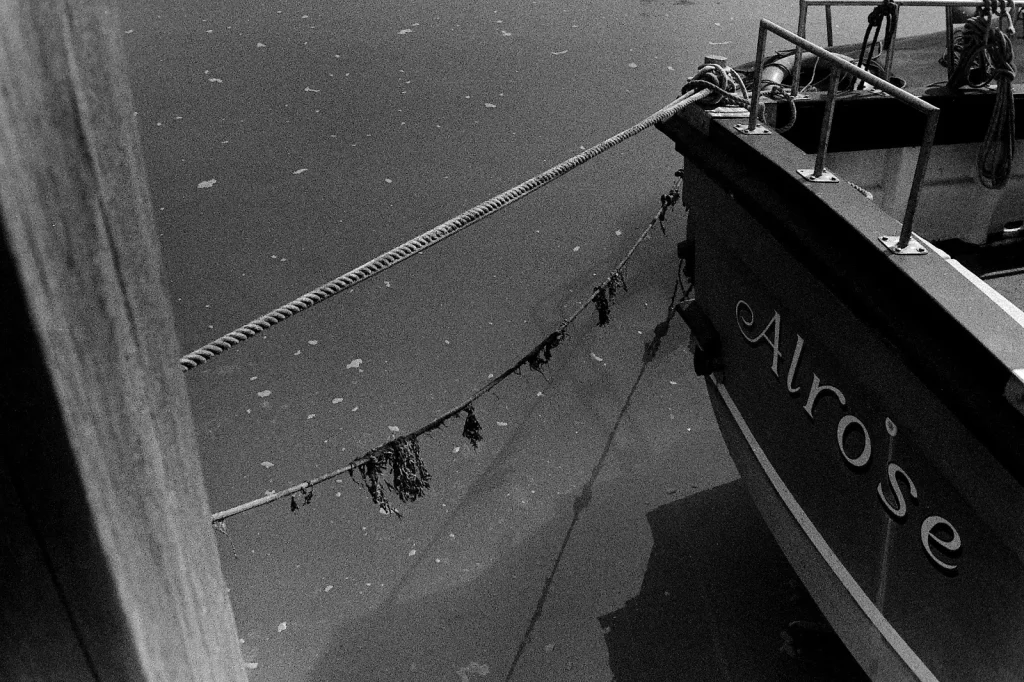 close up photo of boat and ropes