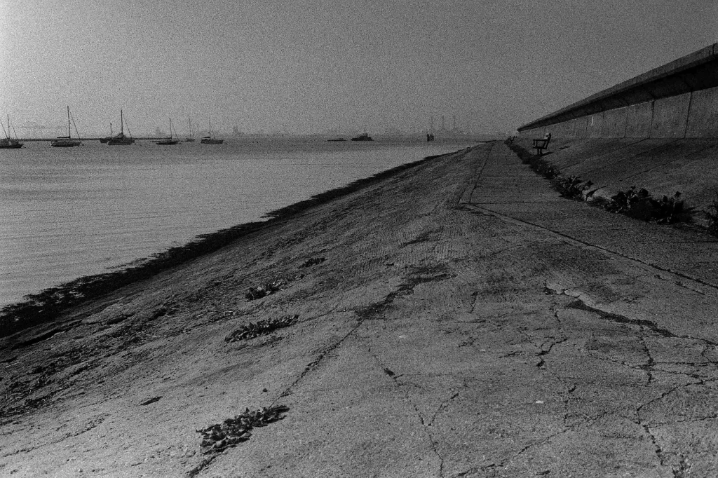 b/w photo of tidal river and sea all