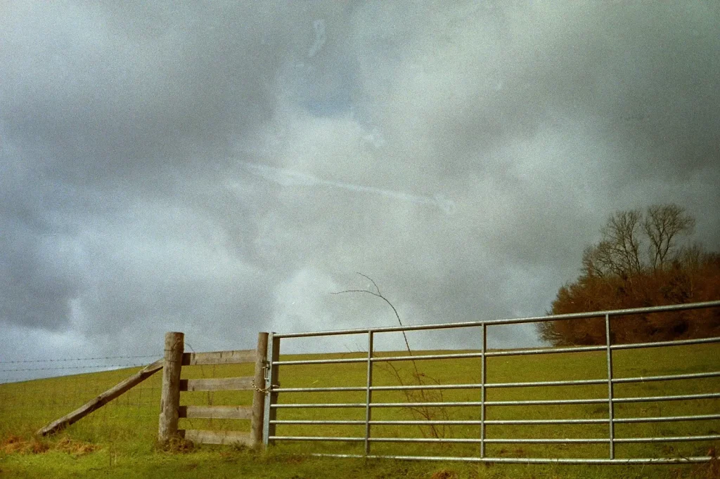 colour photo of a field with metal gate and fence 