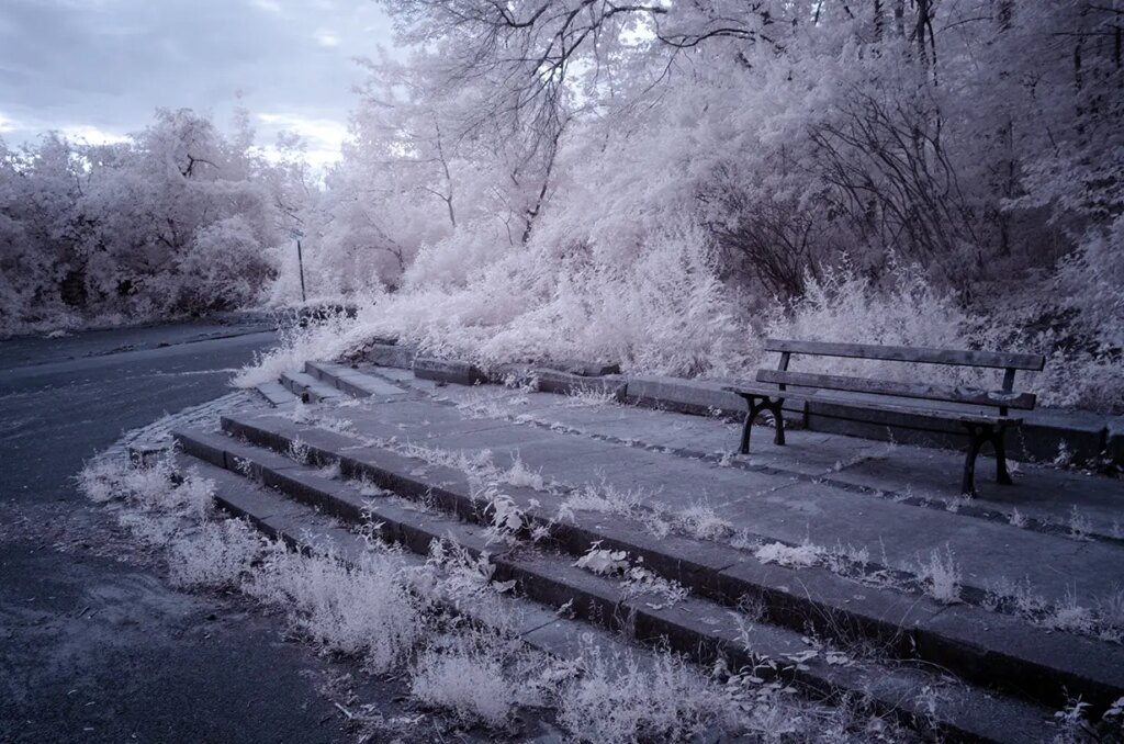 Eerie Park