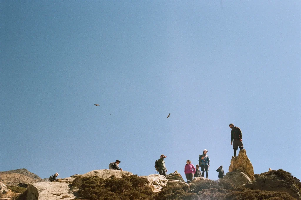 Eagles flying above some people