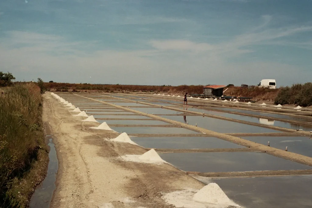 Salt Pans of Ile de Re