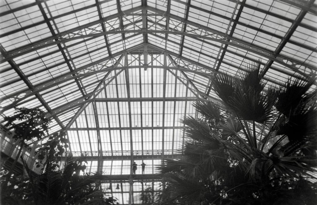 Inside one of the giant green houses at Kew Gardens