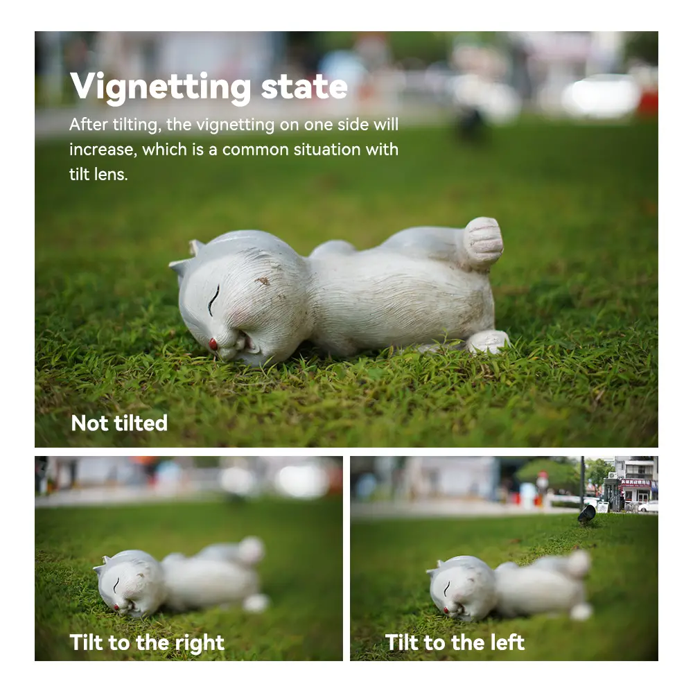 vignetting effect of the 50mm f1.4 tilt lens