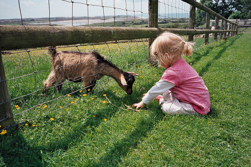 COnnie with a little goat