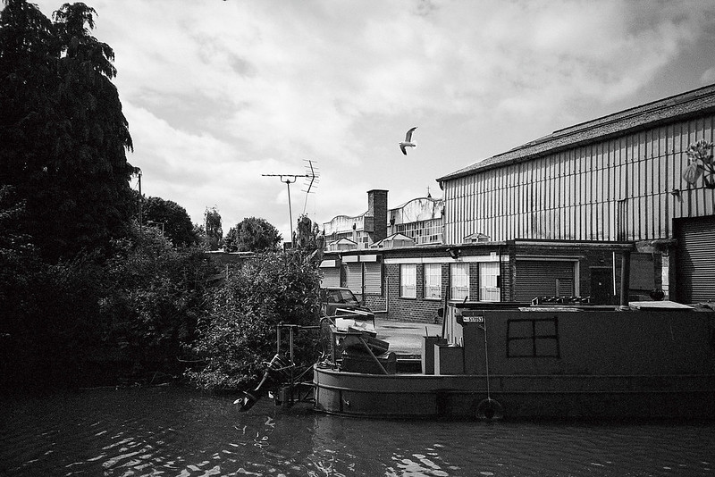 Boat and bird