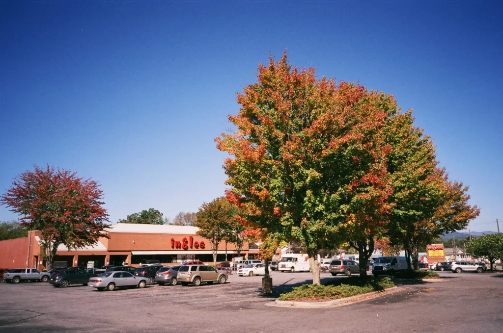 Ingles supermarket, West Asheville