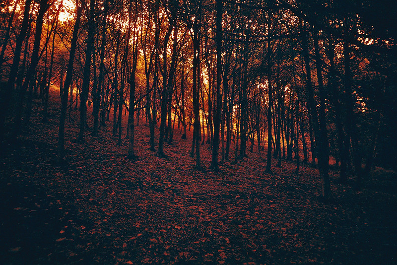 DIY redscale