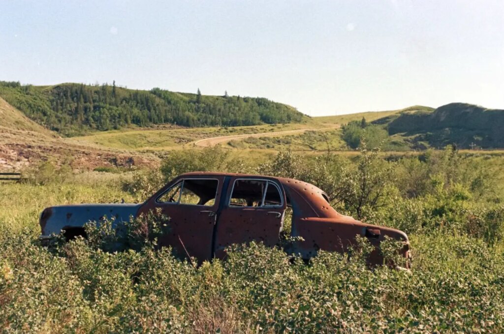 old car in field on sunny day