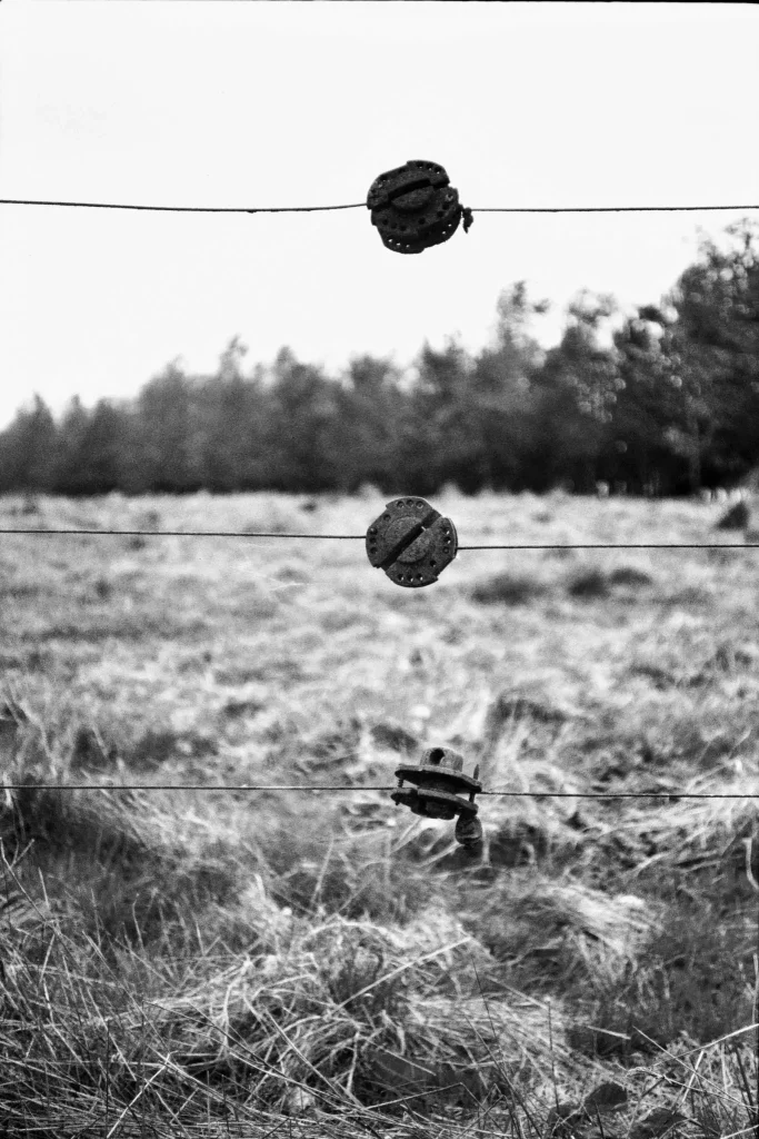 Fence Bobbins on walk in Bedfordshire