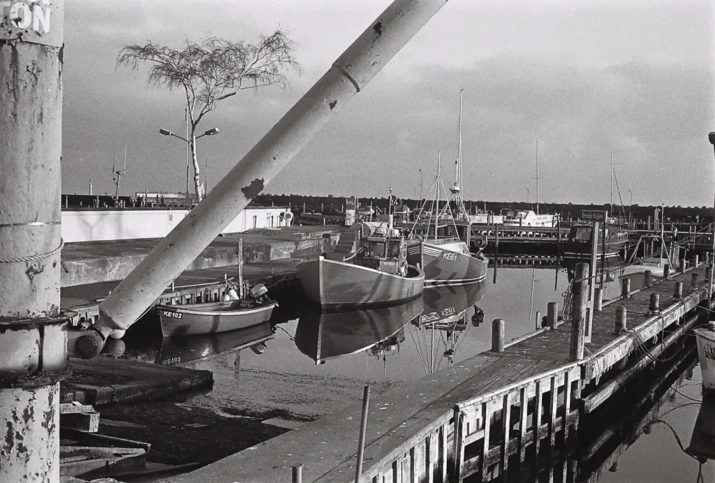 Fishing boats