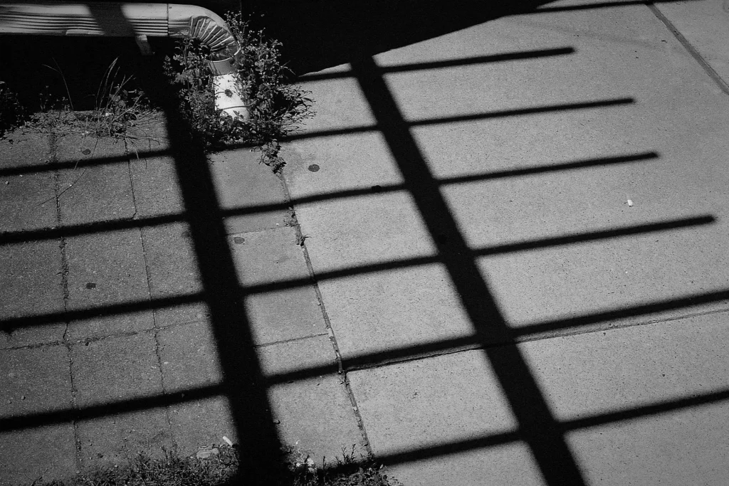 Shadows on Concrete pt. 1