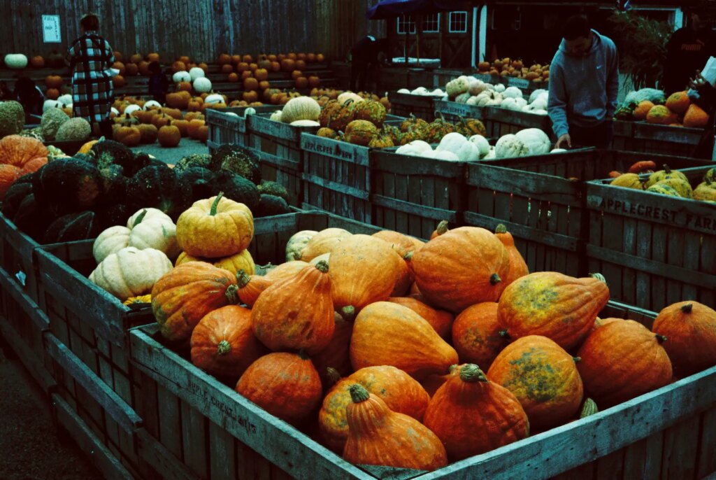 pumpkin market at farm