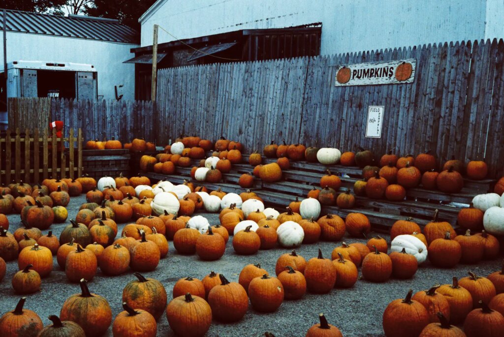 pumpkin market at farm