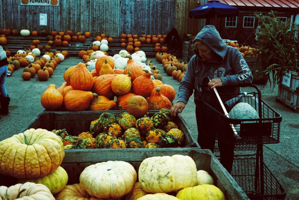 pumpkin market at farm