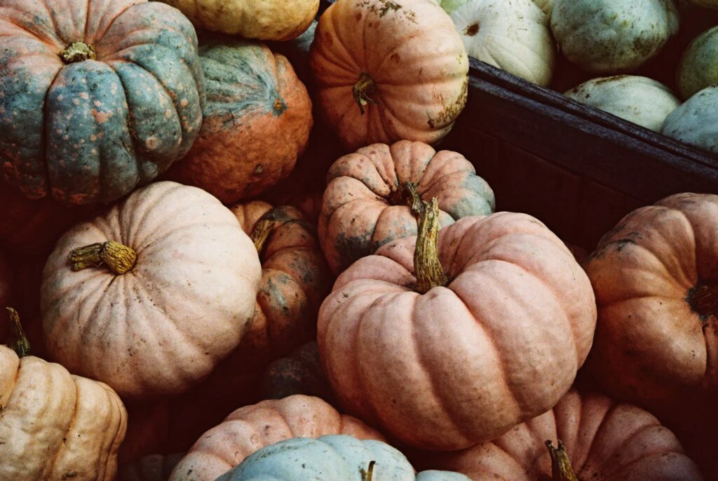 A large farm basket of pumpkins
