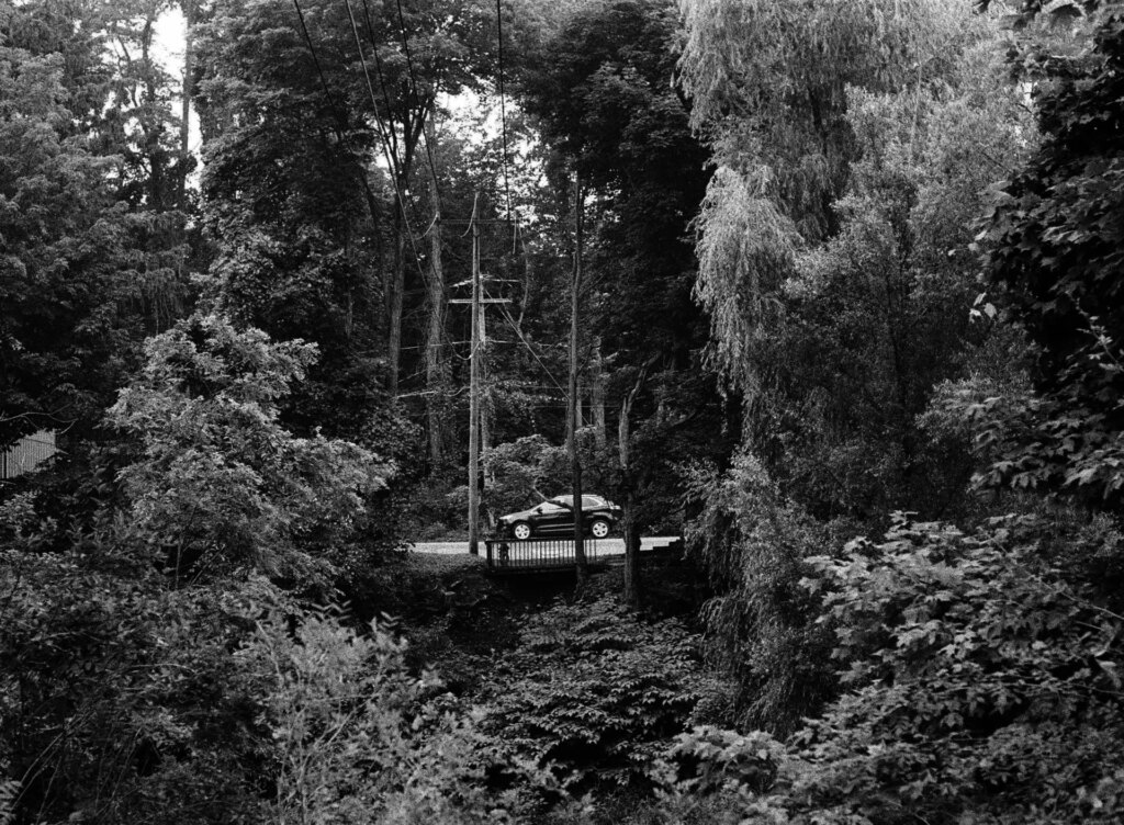 A car passing on a road seen through an opening in the trees