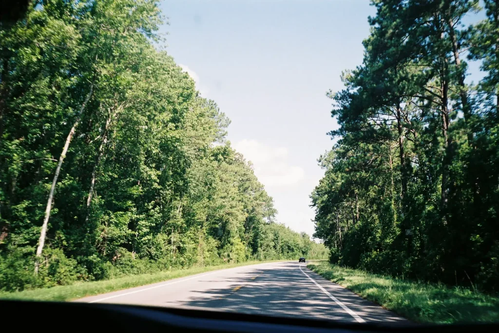 A two-lane highway with lush tree and blue skies on Amelia Island