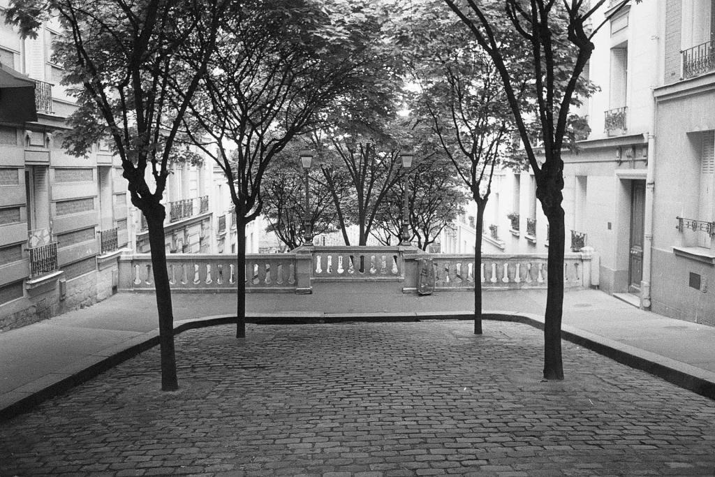 View from a square with trees