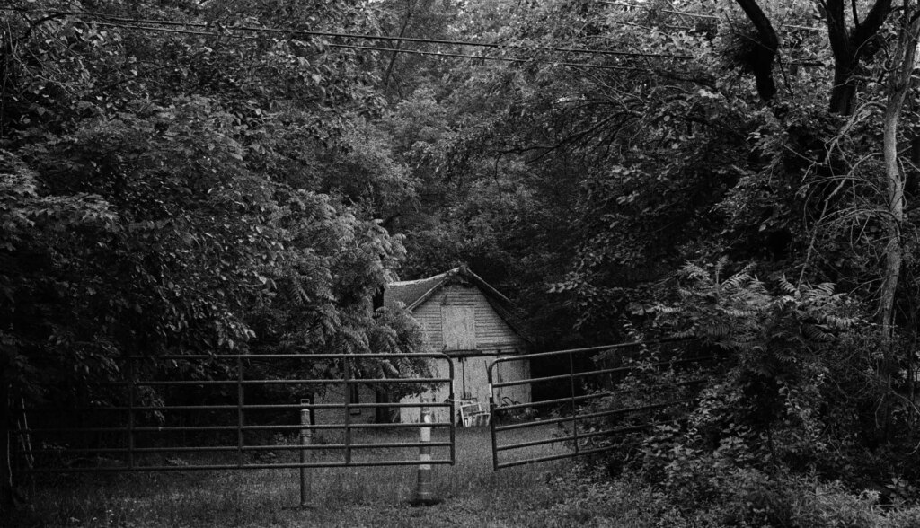A barn hidden behind the bushes and trees