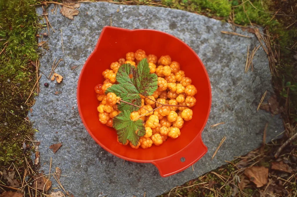 Image of a bowl of yellow berries on a stone step.
