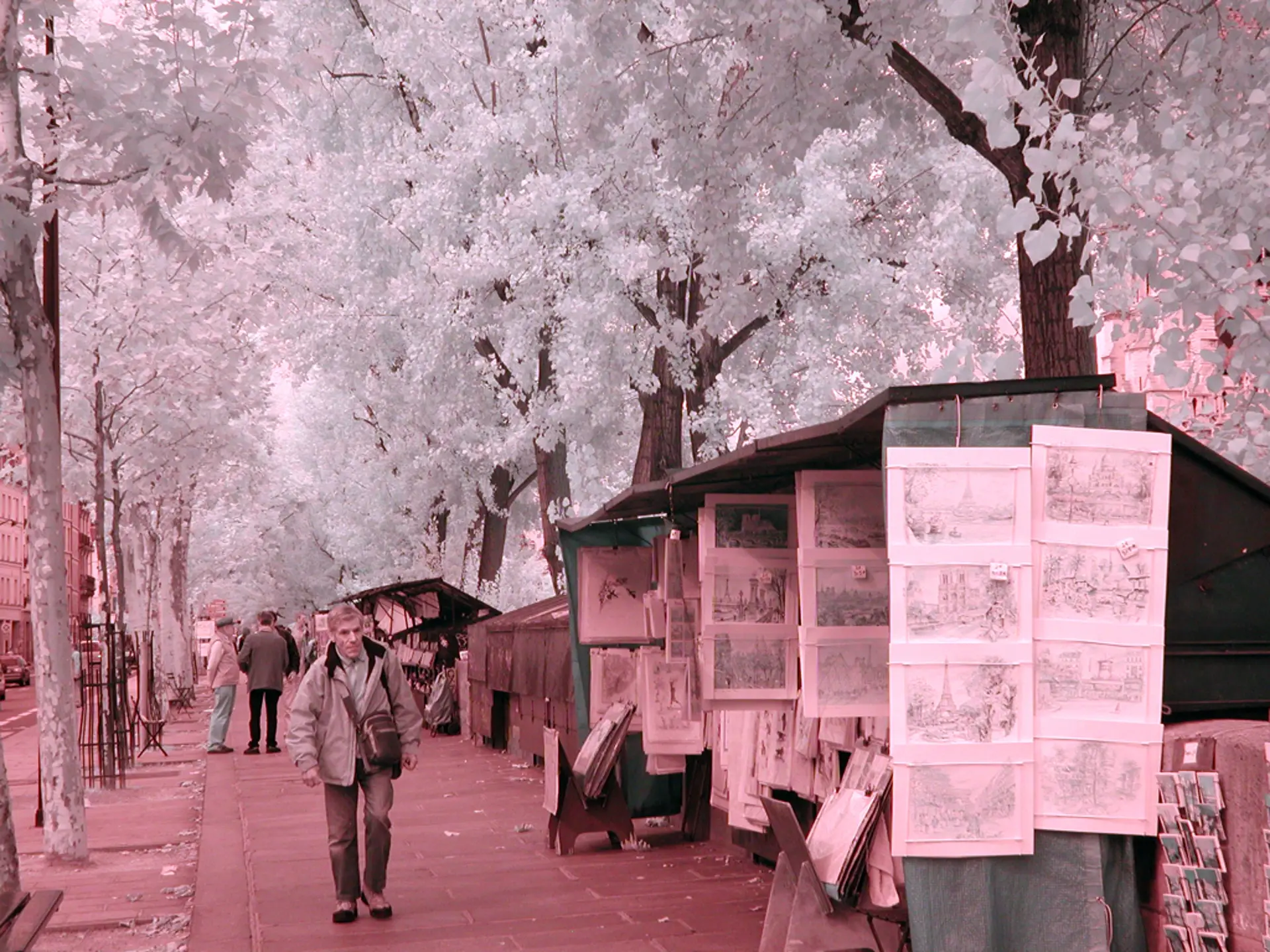 Paris booksellers along the Seine