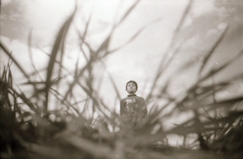 young child in field with high grass in the foreground