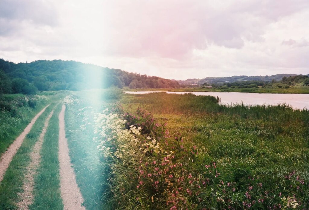 Path and light leak