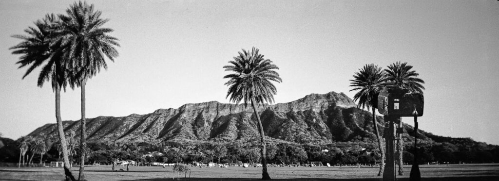 black and white panoramic landscape with palm trees and desert mountains