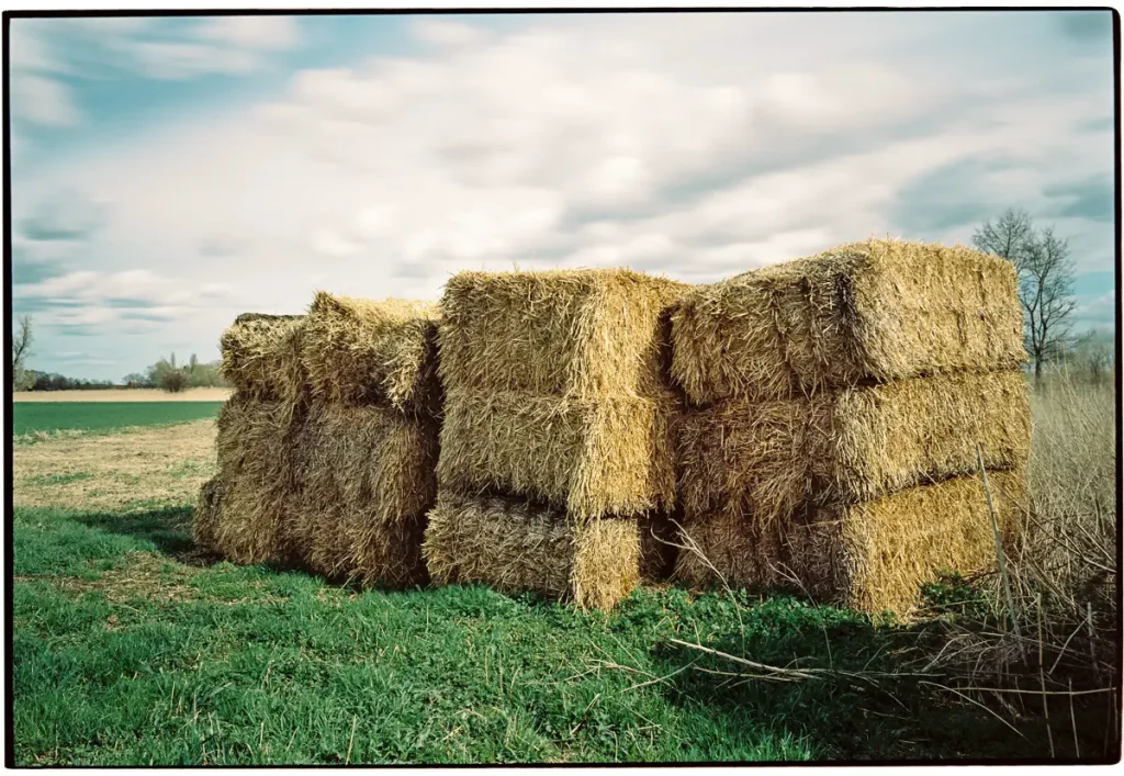 Four blocks of straw bales standing at the side of a meadow. The sky appears smeared due to the long exposure, emphasizing the condensing time idea.
