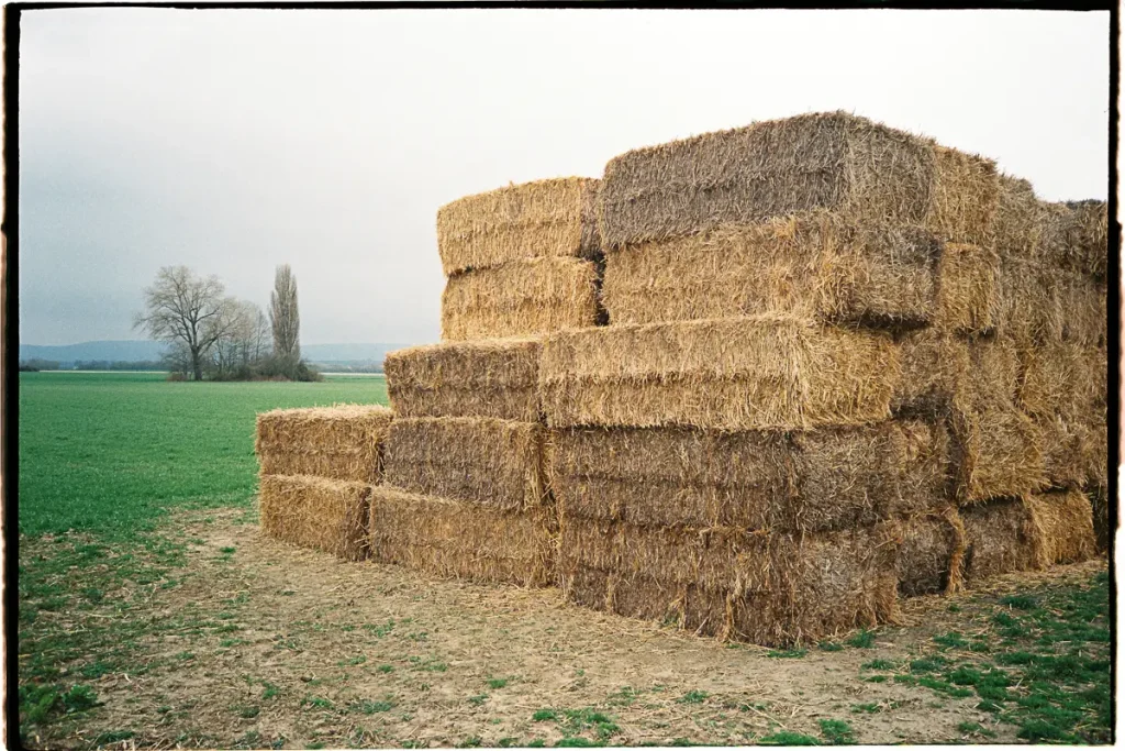 A stack of square straw bales stands at the edge of a field under a grey and dull sky.