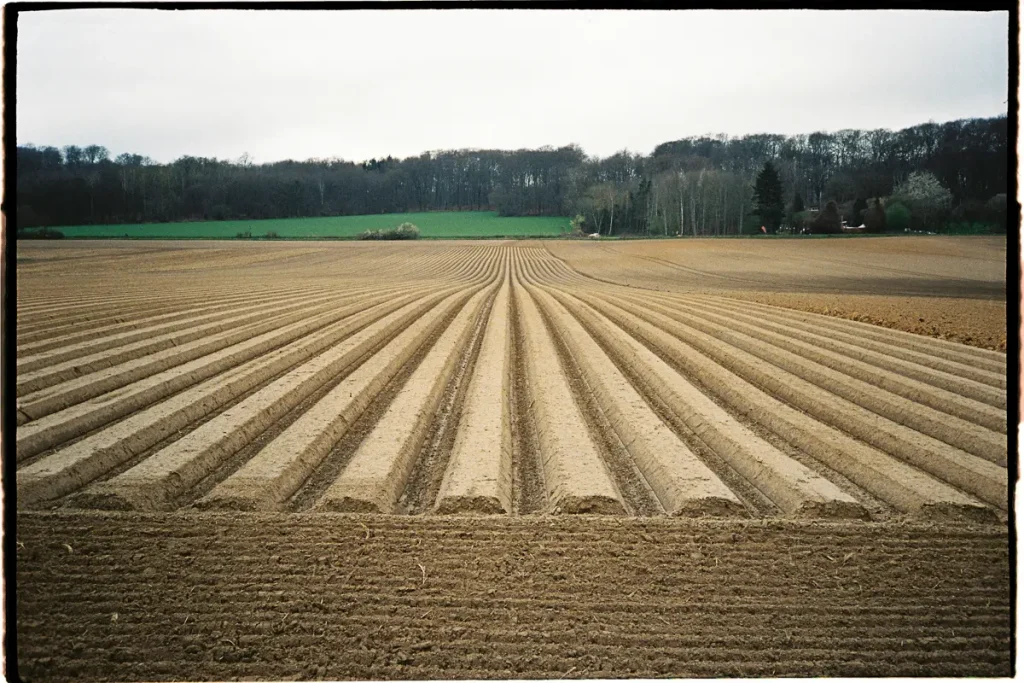 A field with long and deep grooves that run from the viewer towards the horizon.