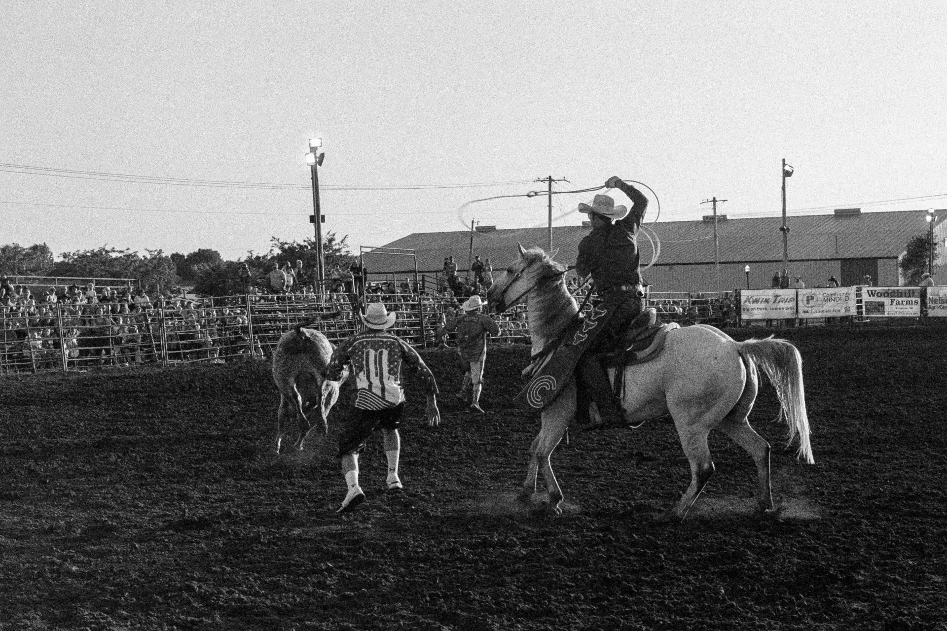 Wrangling a runaway bull