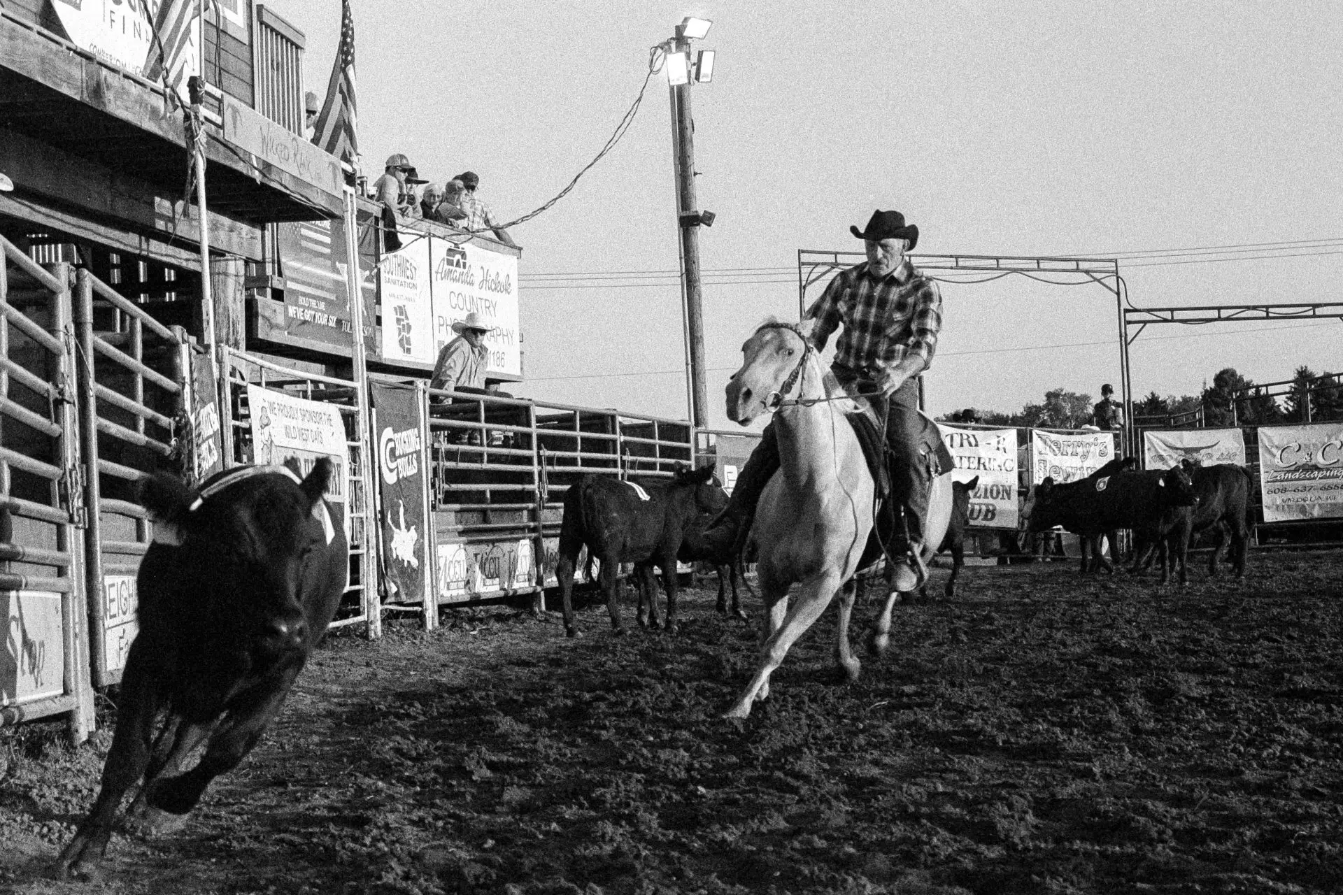 Roping the steer