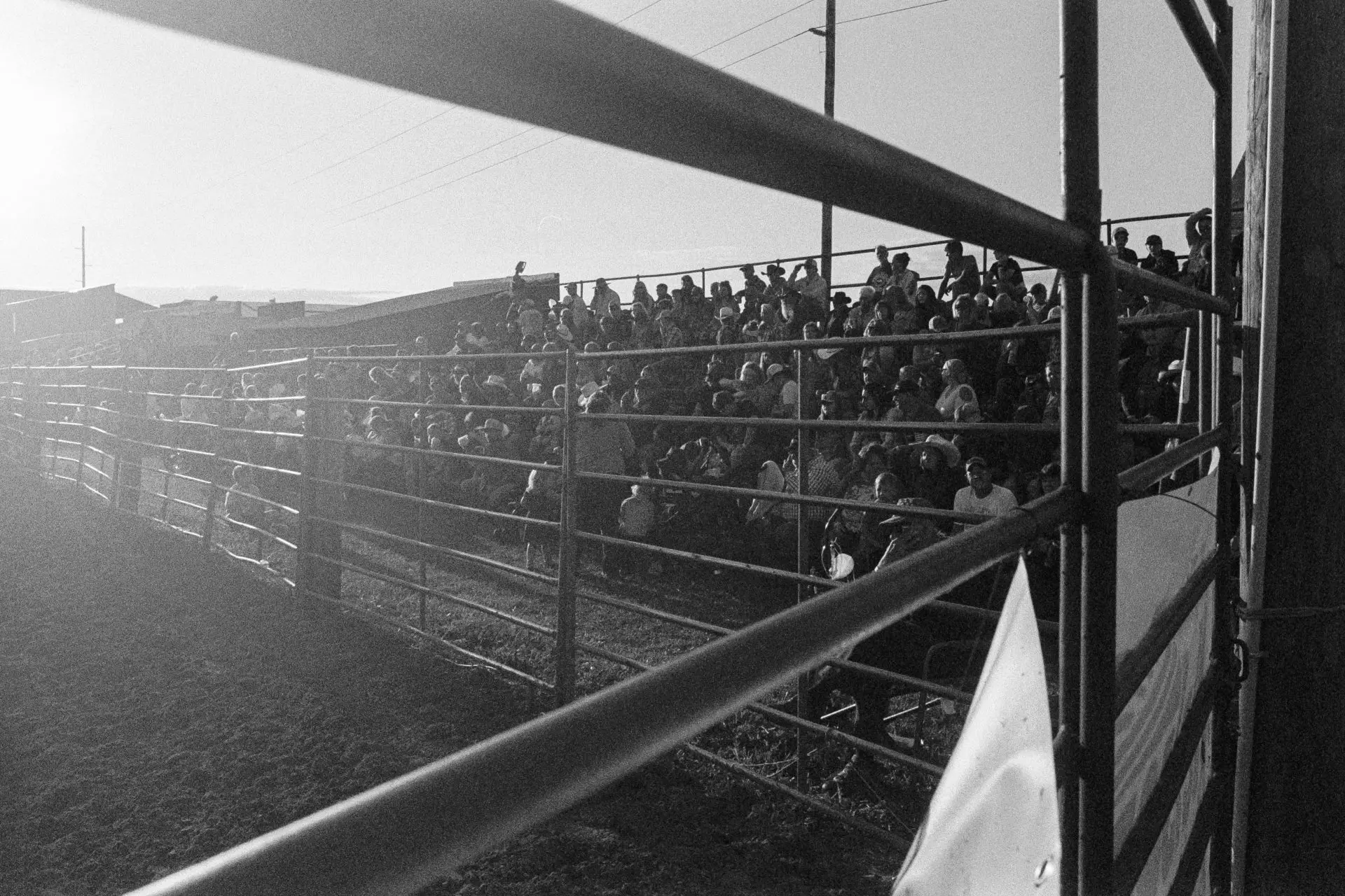 View of the crowd