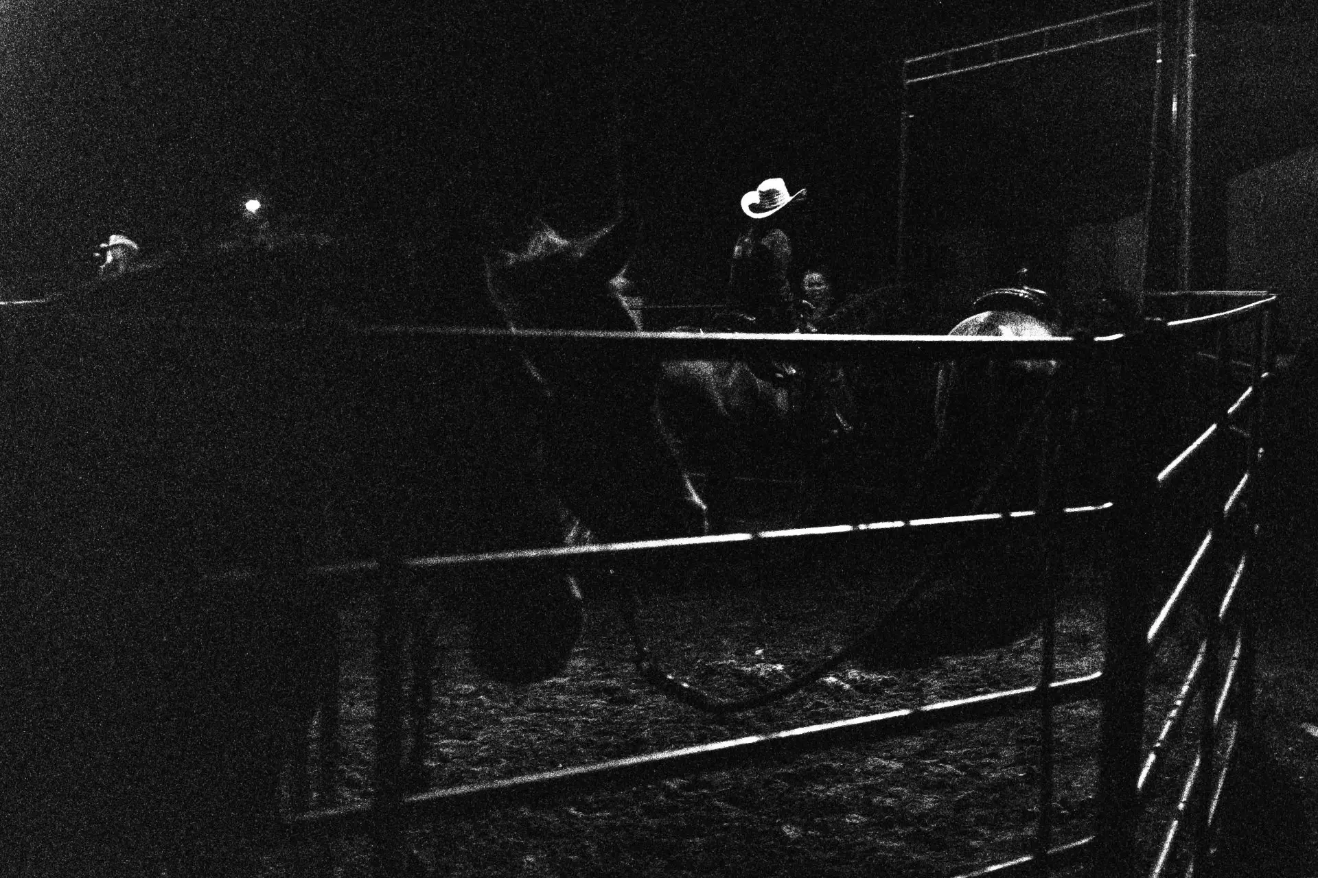 Female Riders lining up