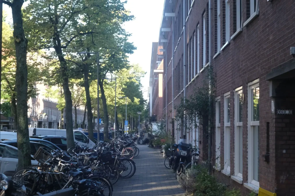 An Amsterdam street in bright sun.