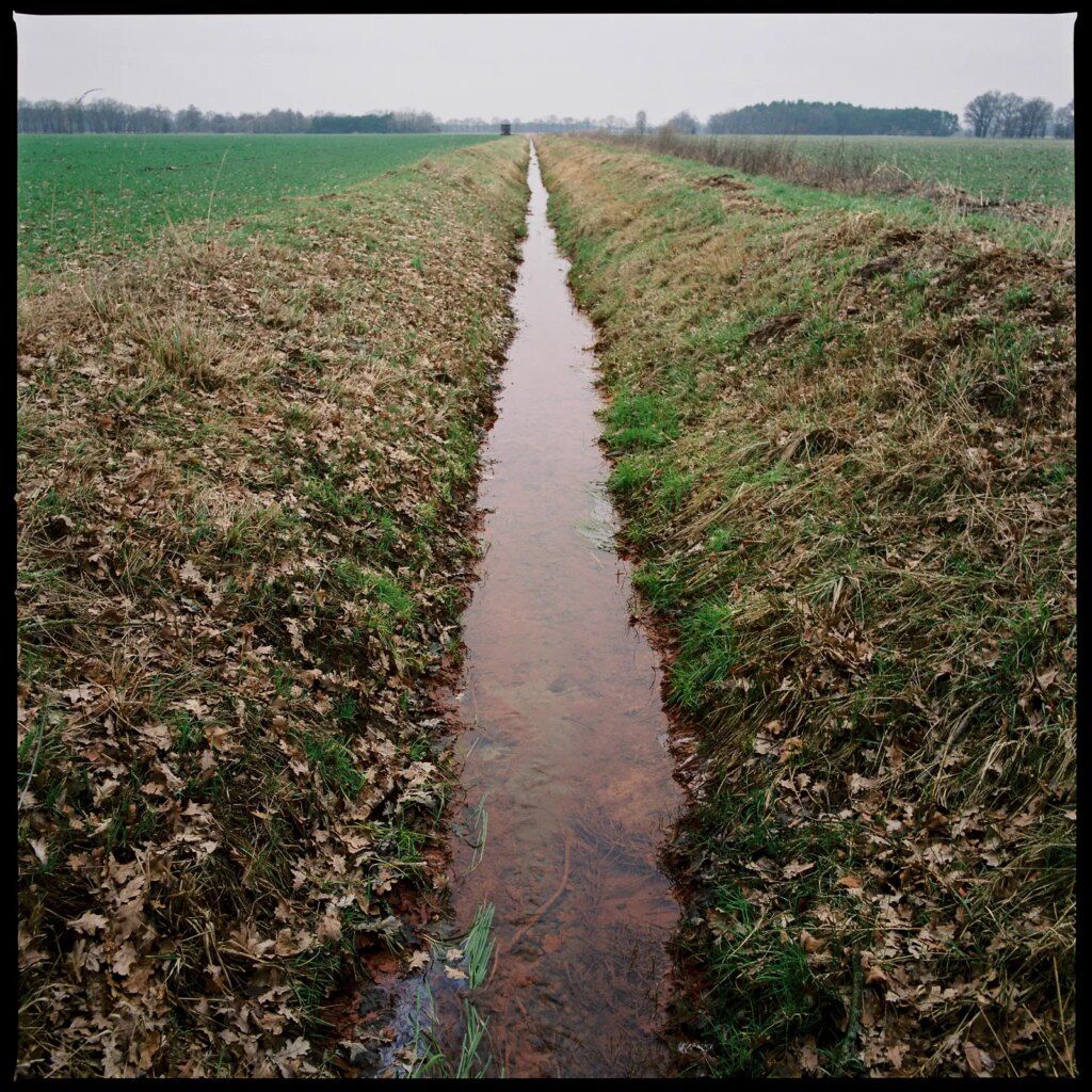 view along a straight drainage channel that spans from the foreground up the far horizon
